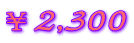 ¥2,300